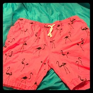 Pink Flamingo Men’s Shorts
